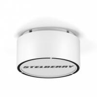 Громкоговоритель Stelberry F-310W Громкоговоритель Stelberry F-310W