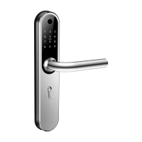 Home Plus SILVER - умный замок для апартаментов и домохозяйств Home Plus SILVER - умный замок для апартаментов и домохозяйств